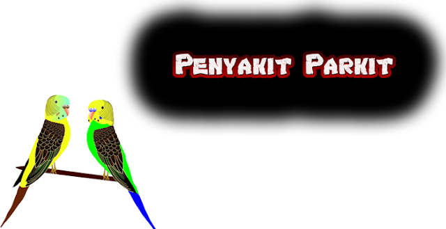 ini dia Penyakit Parkit yang Sering di Temui ini dia Penyakit Parkit yang Sering di Temui